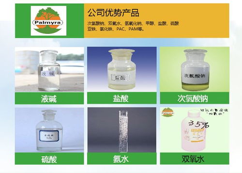 次氯酸钠生产商南京棕糖树化工 深耕安徽光伏产业，服务合肥能源转型